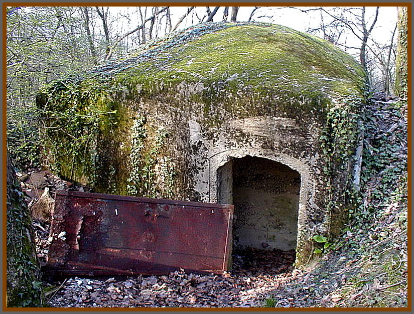 Ligne Maginot - MITTELBUSCH - (Observatoire d'artillerie) - L'accès par l'arrière