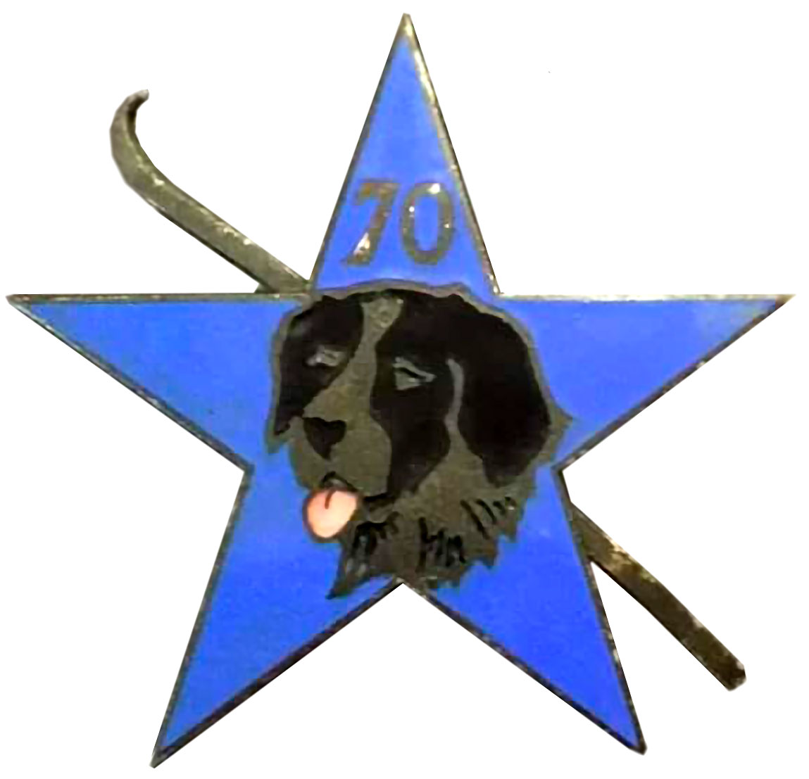 Ligne Maginot - 70° Bataillon Alpin de Forteresse (BAF) - Insigne de la SES du 70° BAF