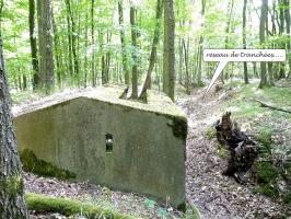 Ligne Maginot - TAUBRUNNENWALD 1 - (Blockhaus pour arme infanterie) - 
