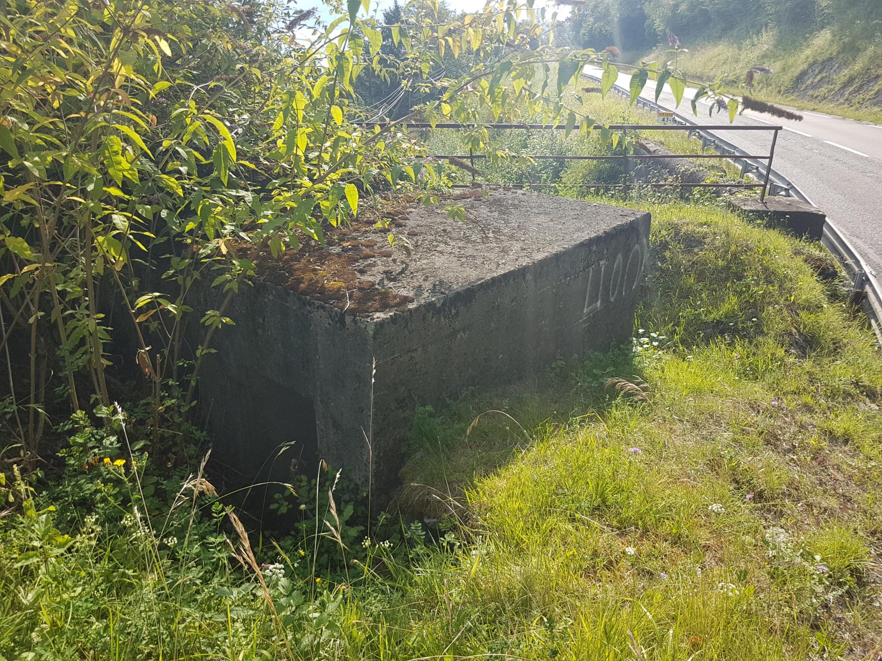 Ligne Maginot - M2 - LA TRONCHE- HS135 - (Blockhaus pour arme infanterie) - L'accès arrière du blockhaus