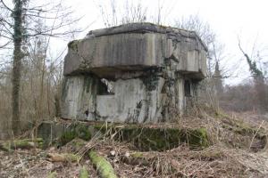 Ligne Maginot - JUNGGRUND SUD - (Blockhaus pour arme infanterie) - 