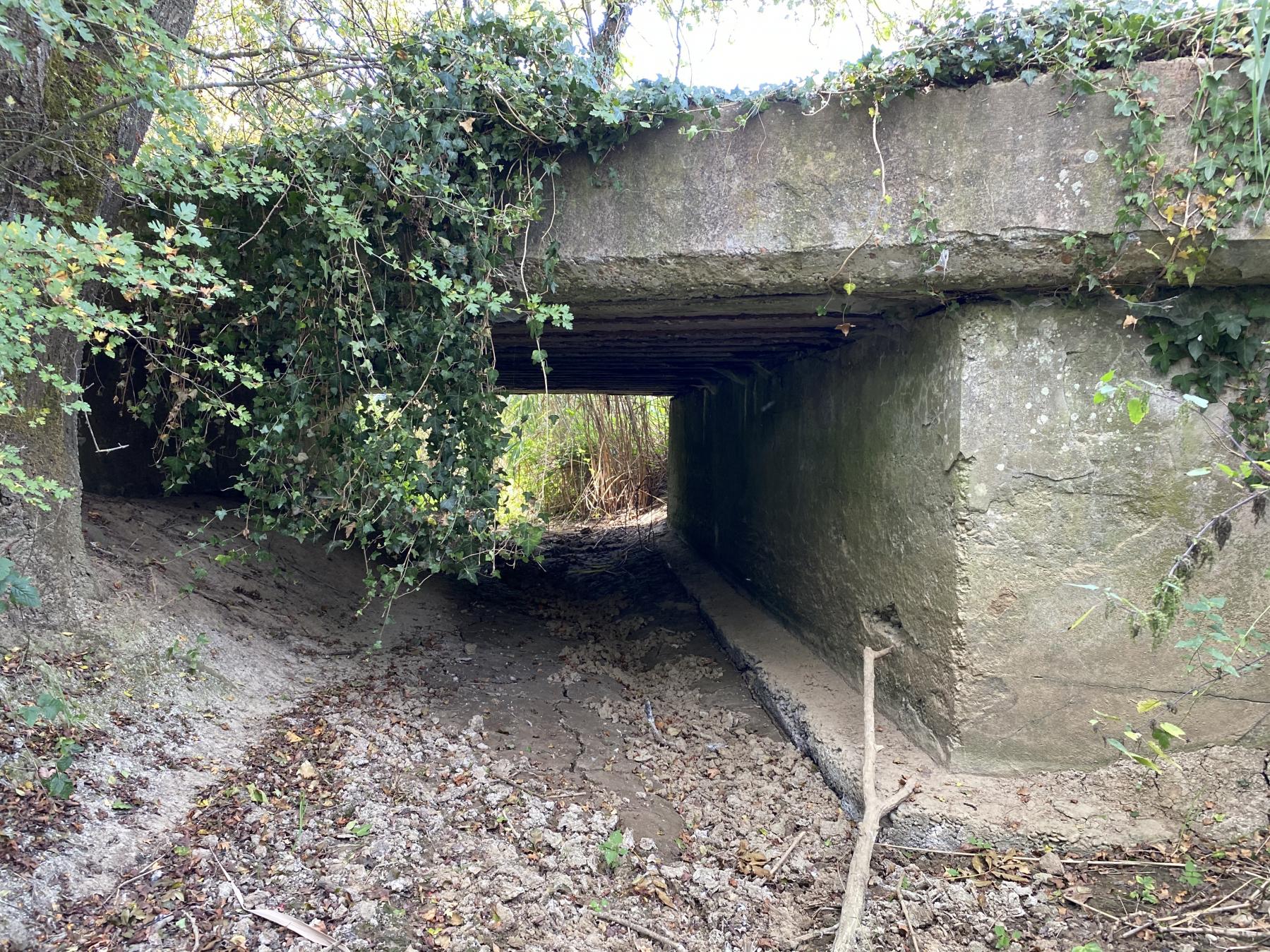 Ligne Maginot - KUTZENHAUSEN (4/373°RALVF) - (Position ALVF) - Le ponceau créé sur le ruisseau pour le passage de la voie militaire