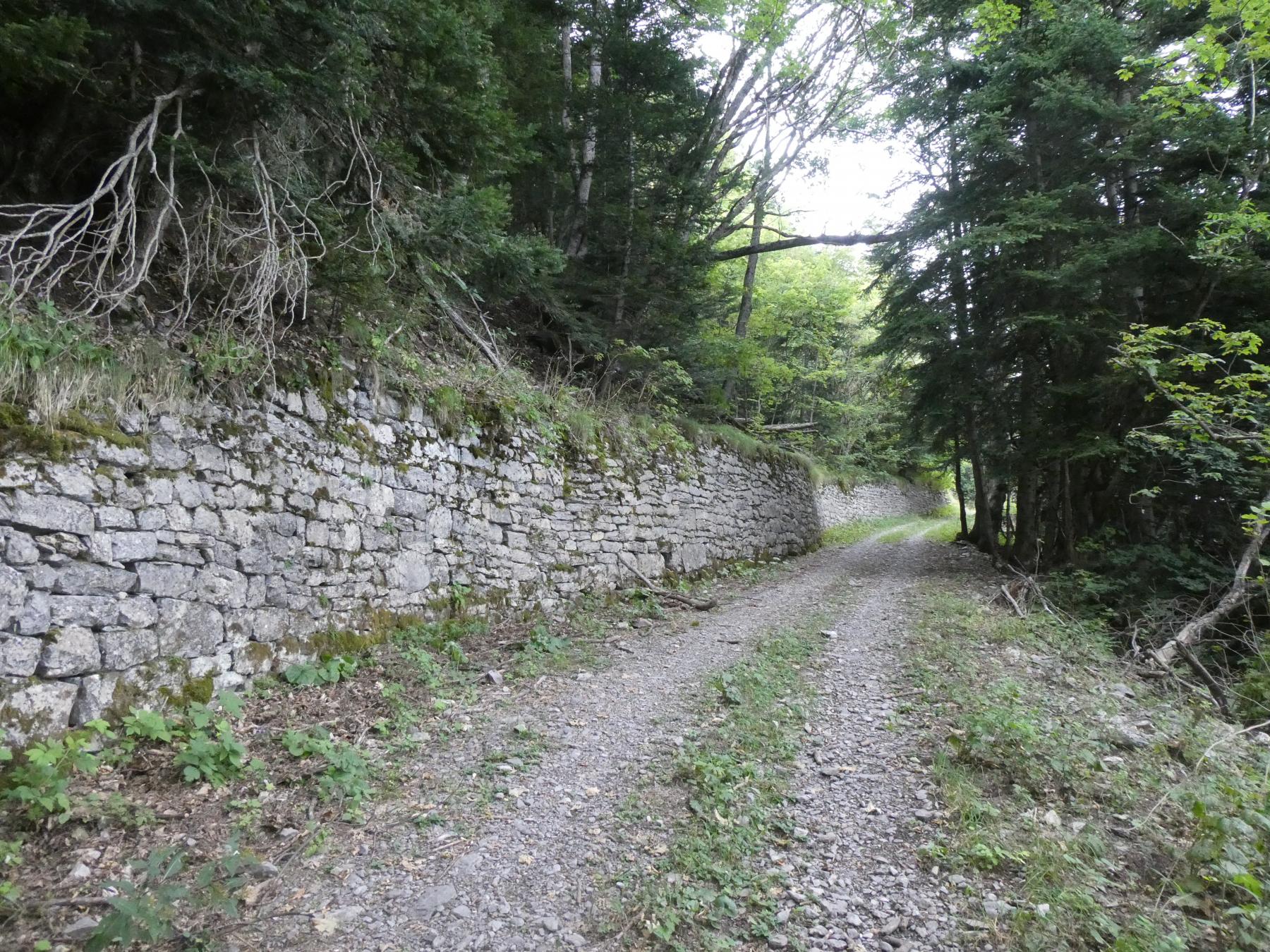 Ligne Maginot - L'ARBOIN SUD - (Observatoire d'artillerie) - La route militaire
