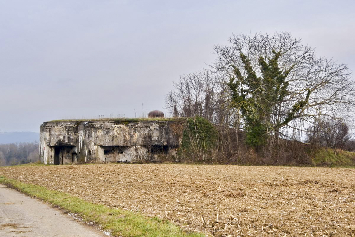 Ligne Maginot - 85 - HASELBERG - (Casemate d'infanterie - double) - Façade ouest