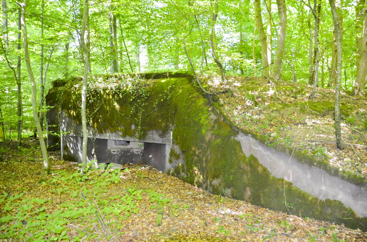 Ligne Maginot - Blockhaus STG 107 - Cesarhof sud - Façade sud