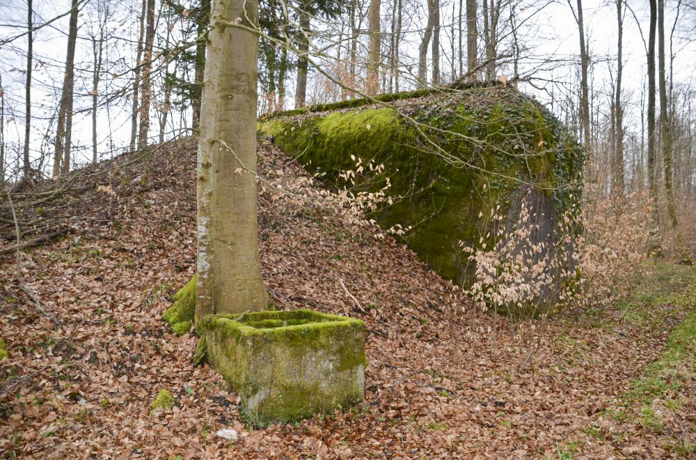 Ligne Maginot - Eichwald soute à munitions - Vue extérieur avec le puits.