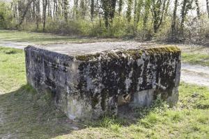 Ligne Maginot - Blockhaus ROSENAU BERGE 2 - 