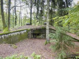 Ligne Maginot - BIESENBERG 5 - (Blockhaus pour arme infanterie) - 