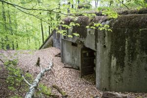 Ligne Maginot - Blockhaus du BIESENBERG 6 - Façade arrière