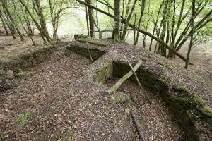 Ligne Maginot - Position de la maison forestière du Biesenberg - 
