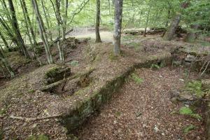 Ligne Maginot - Position de la maison forestière du Biesenberg - 