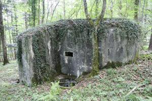 Ligne Maginot - HORNI-FERME - (Blockhaus pour arme infanterie) - Flanquement est (FM)