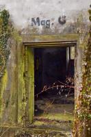 Ligne Maginot - REININGUE - (Dépôt de Munitions) - Bâtiment encore en place (D)
Inscription Mag G au dessus de la porte