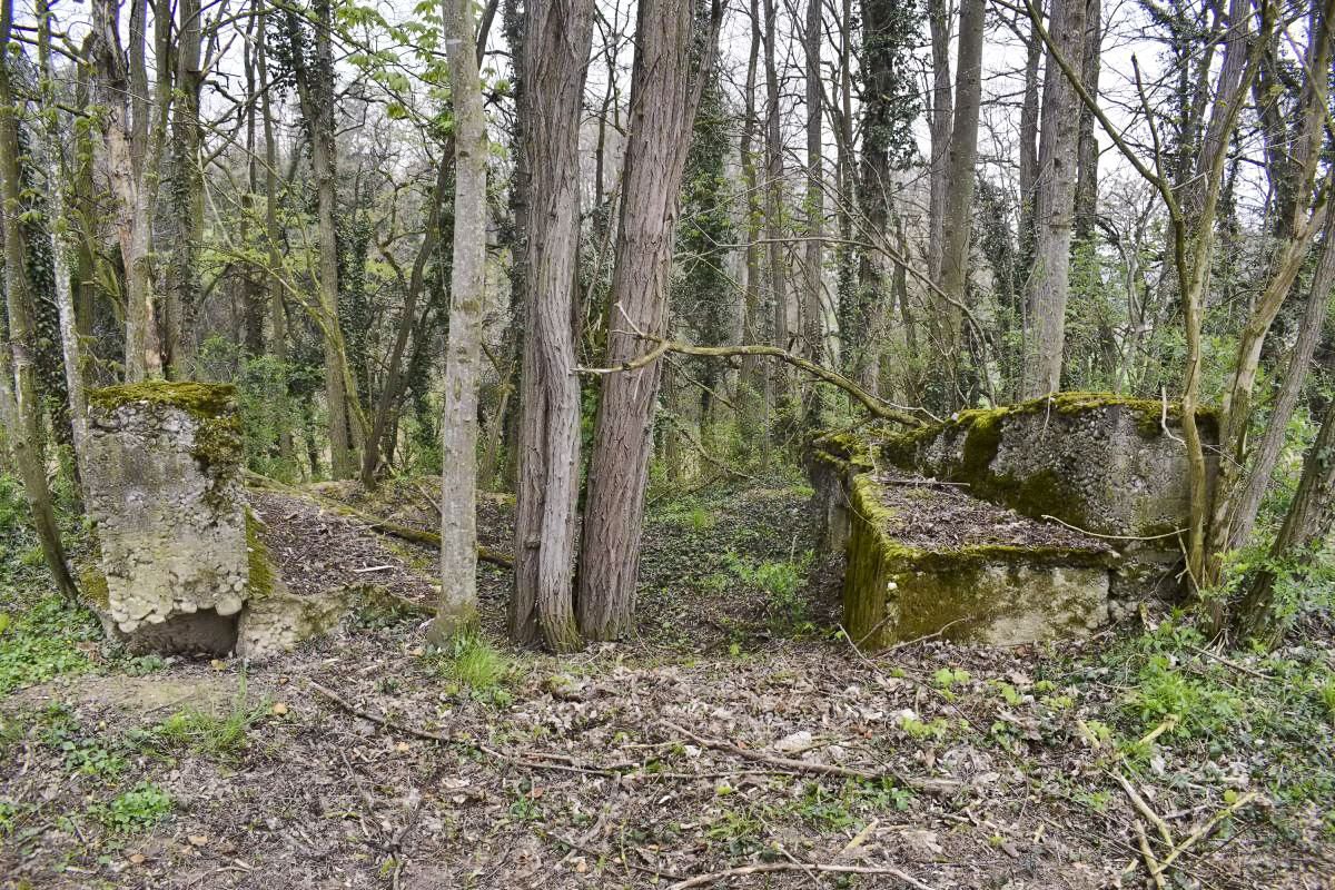 Ligne Maginot - KELLERGRABEN - (Position d'artillerie préparée) - B2 : côté Est