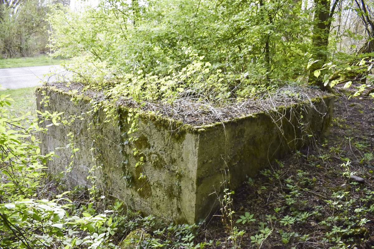 Ligne Maginot - SCHEIDGRABEN - (Blockhaus de type indéterminé) - 