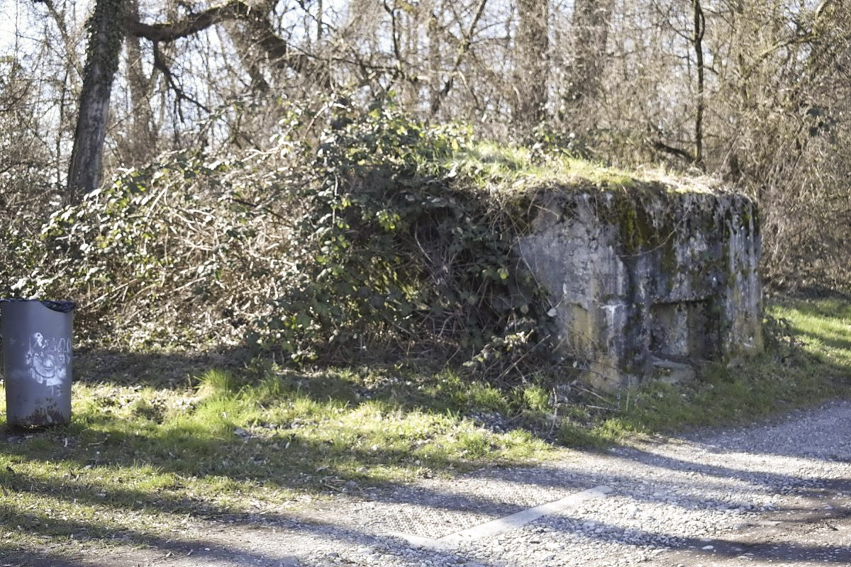 Ligne Maginot - Blockhaus VILLAGE-NEUF BERGE 5 - 