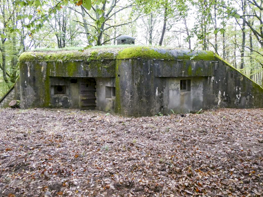 Ligne Maginot - BIESENBERG 4 - (Blockhaus pour arme infanterie) - 