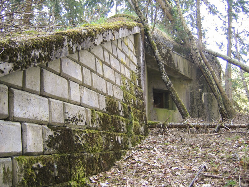 Ligne Maginot - BIESENBERG 1 - (Blockhaus pour arme infanterie) - 