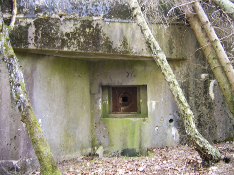 Ligne Maginot - BIESENBERG 1 - (Blockhaus pour arme infanterie) - 