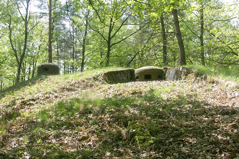 Ligne Maginot - BIESENBERG SOMMITALE - (Casemate d'infanterie - Simple) - La cloche mitrailleuse (à droite) et la cloche GFM (à gauche)