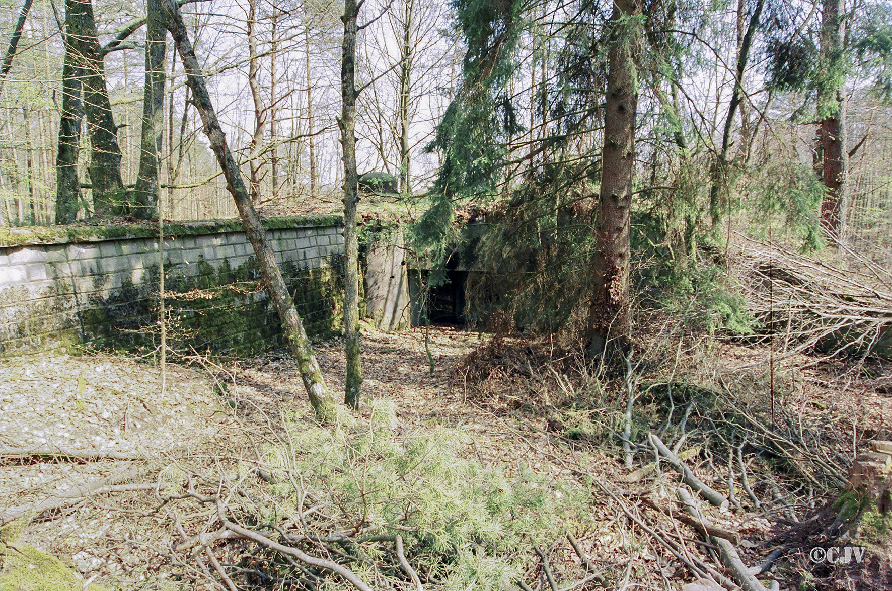 Ligne Maginot - Blockhaus du Biesenberg 5 - 