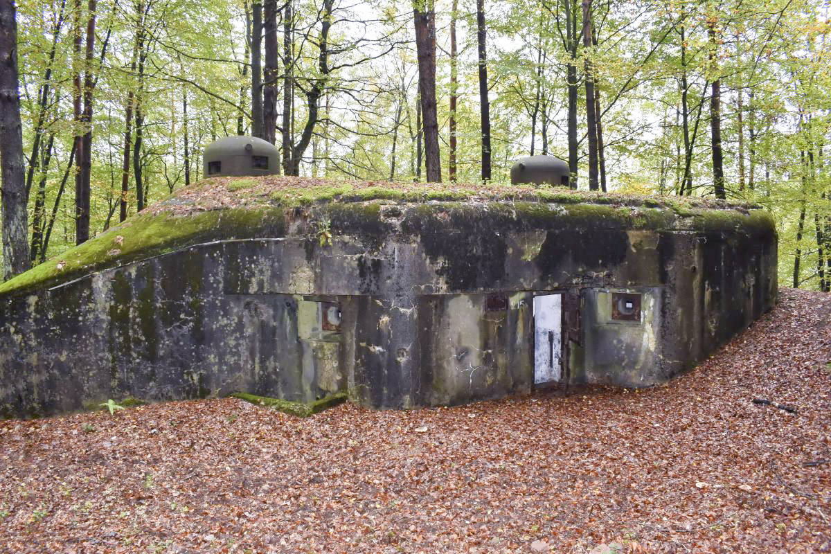 Ligne Maginot - BIESENBERG 6 - (Blockhaus pour arme infanterie) - Façade