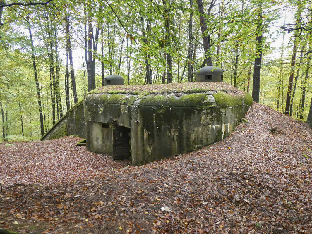 Ligne Maginot - BIESENBERG 6 - (Blockhaus pour arme infanterie) - 