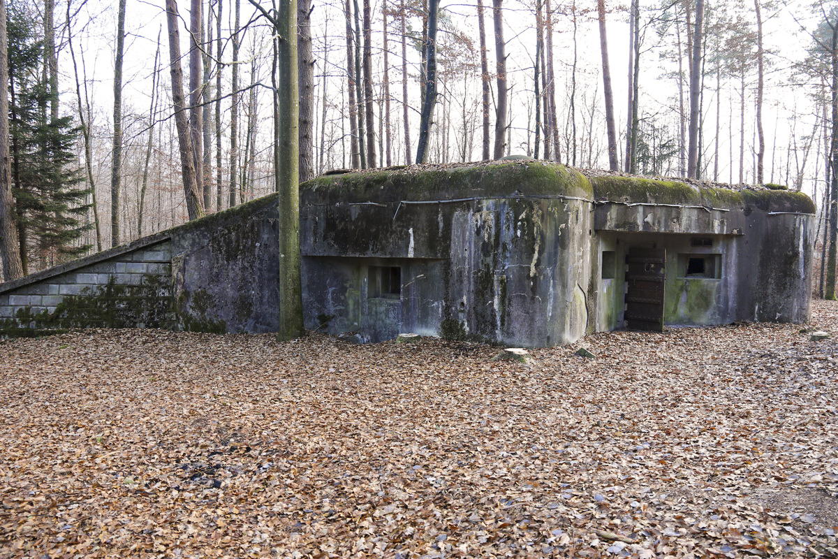 Ligne Maginot - Blockhaus du Biesenberg 7 - 
