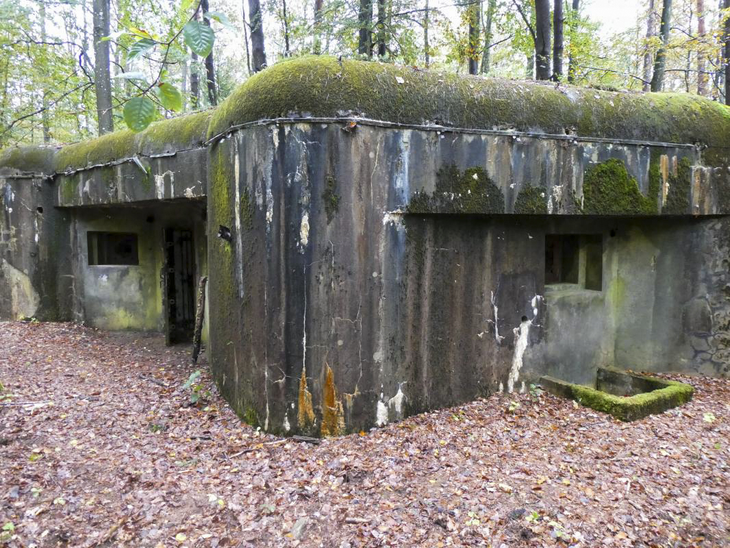 Ligne Maginot - BIESENBERG 7 - (Blockhaus pour arme infanterie) - 