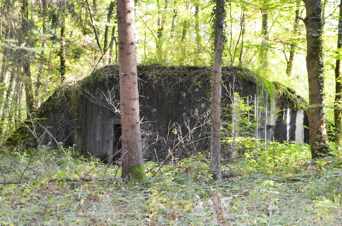 Ligne Maginot - Blockhaus STG 117 - Brochritty Sud - Vue d'ensemble