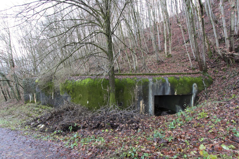 Ligne Maginot - 113 - OLTINGUE - (Casemate d'artillerie) - Vue du coté de l'entrée du hall de déchargement des munitions.