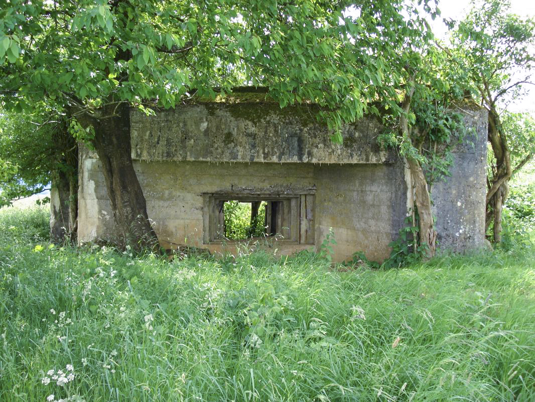 Ligne Maginot - SAINT WALFROY OUEST - (Blockhaus pour canon) - Face frontale