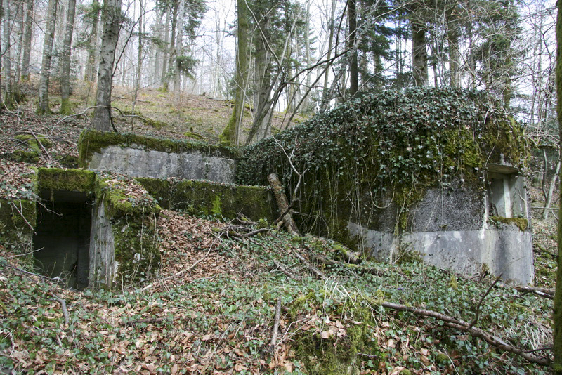Ligne Maginot - GEBIRGMATTEN NORD - (Blockhaus pour arme infanterie) - 