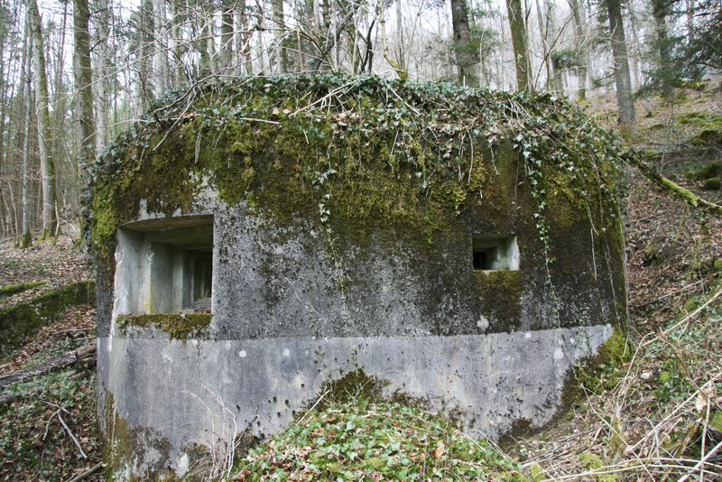 Ligne Maginot - GEBIRGMATTEN NORD - (Blockhaus pour arme infanterie) - 