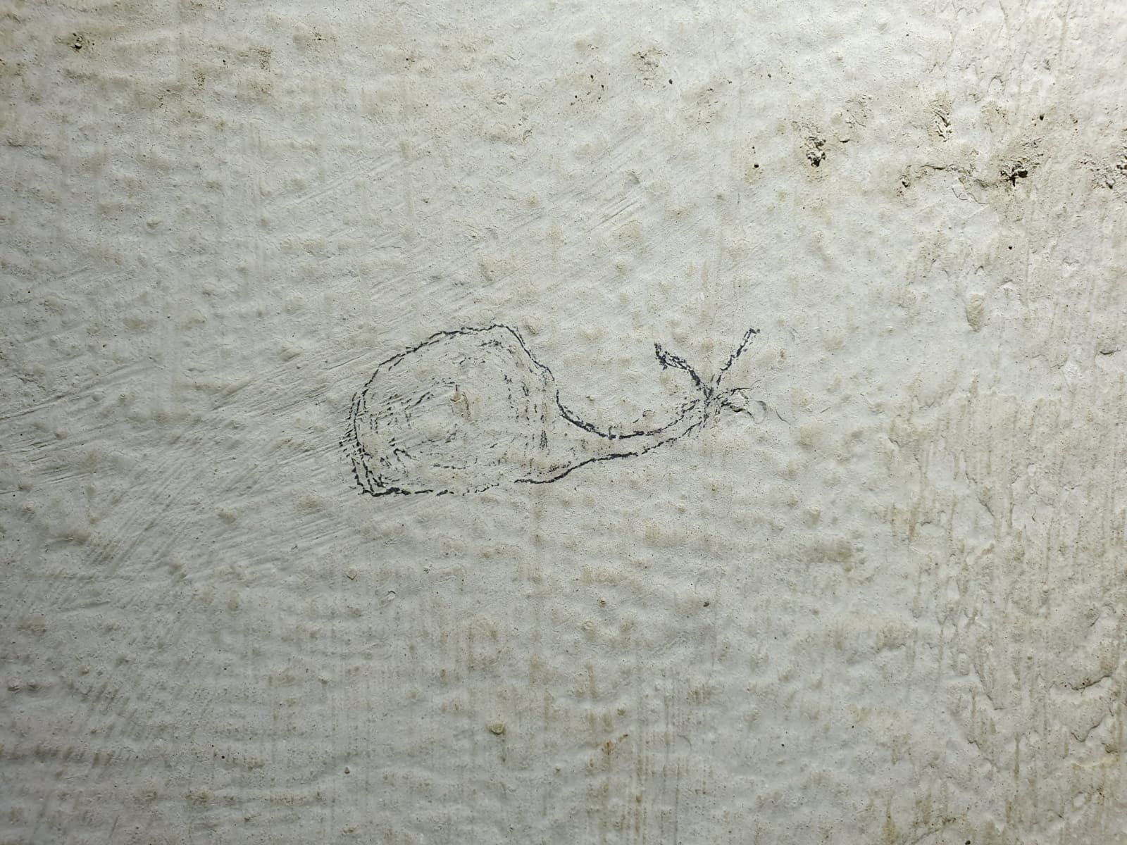 Ligne Maginot - HAUT POIRIER - (Ouvrage d'infanterie) - Bloc 1
Un petit dessin dans les toilettes du bloc: un escargot