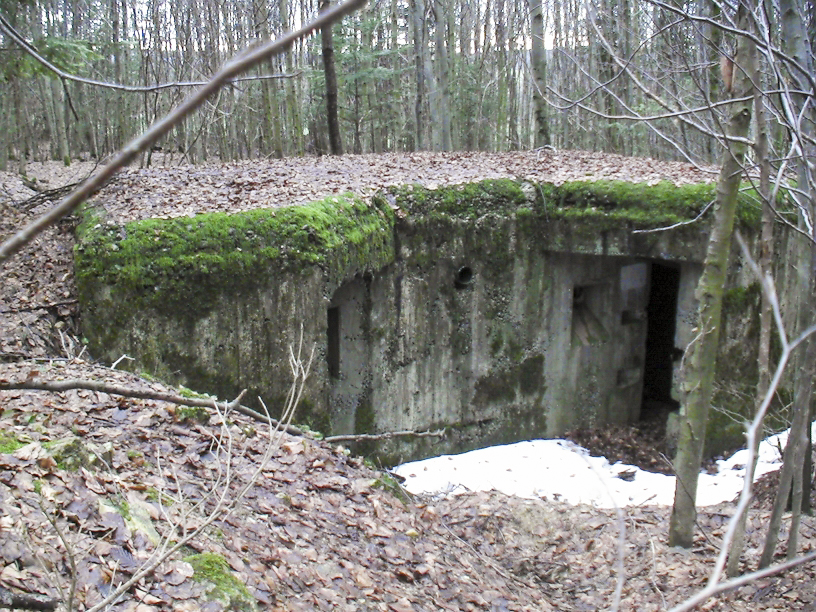 Ligne Maginot - Vue d'ensemble cotée entrée - L'abri est semi enterré est relativement difficile à trouver, aucun chemin ne mène à l'ouvrage.