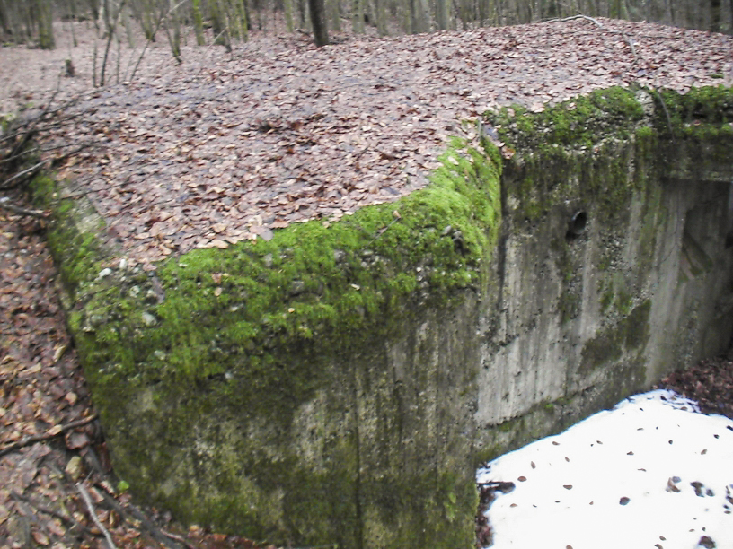 Ligne Maginot - Gros plan sur le renfort de l'entrée nord - Vue de dessus, l’abri est semi enterré.