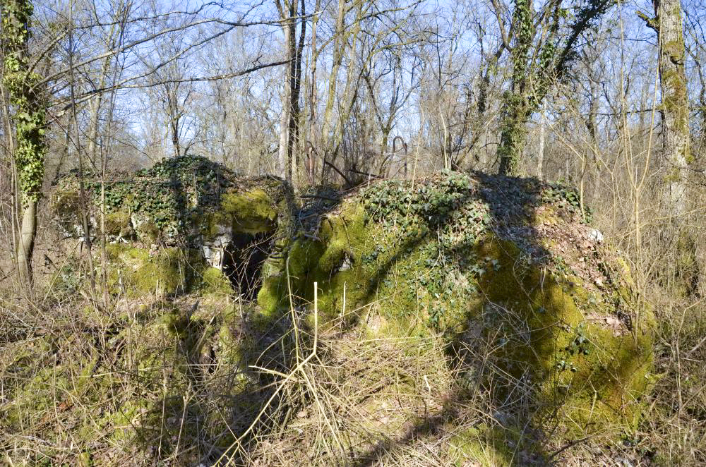 Ligne Maginot - CARREFOUR 224 NORD - (Blockhaus pour arme infanterie) - Vue coté sud.