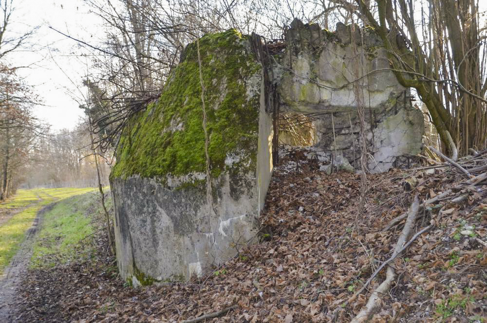 Ligne Maginot - G40 - RUMERSHEIM LE HAUT BERGE 2 - (Blockhaus pour arme infanterie) - Vue extérieure nord coté Rhin