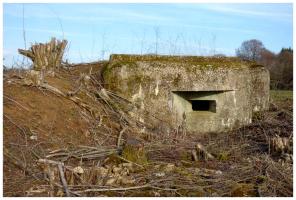 Ligne Maginot - CB14BIS - (Blockhaus pour arme infanterie) - en 2018 été...débroussaillé pour la marche du patrimoine...