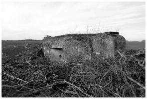 Ligne Maginot - CB14BIS - (Blockhaus pour arme infanterie) - en 2018 été...débroussaillé pour la marche du patrimoine...