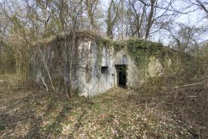 Ligne Maginot - 183 - PA KEMBS SUD 2 - (Blockhaus pour arme infanterie) - 