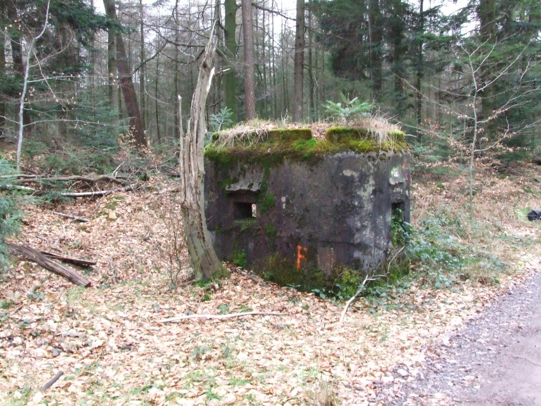 Ligne Maginot - SOULTZERKOPF 2 - (Blockhaus pour arme infanterie) - 