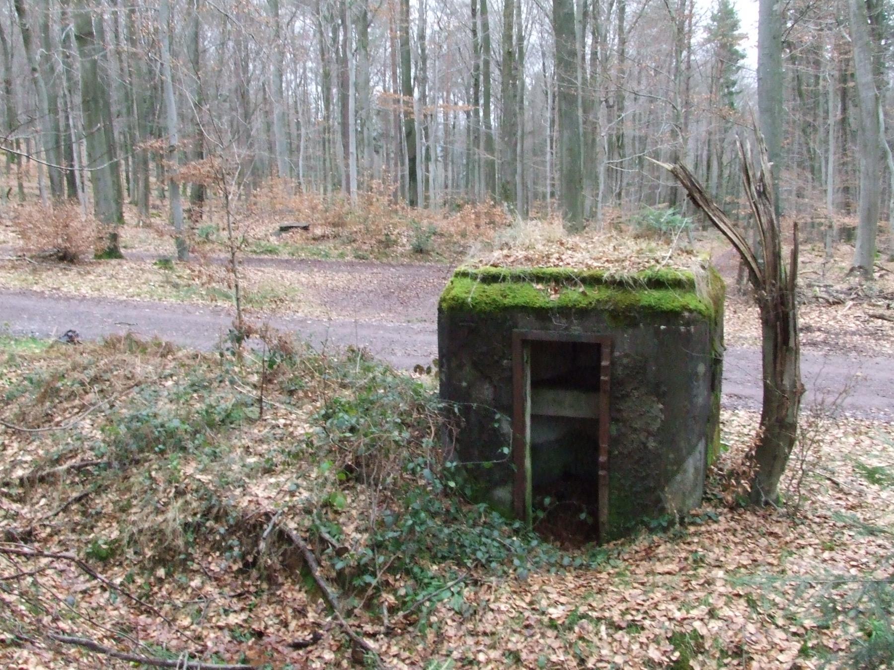 Ligne Maginot - SOULTZERKOPF 2 - (Blockhaus pour arme infanterie) - La chambre de coupure G4 à l'arrière plan