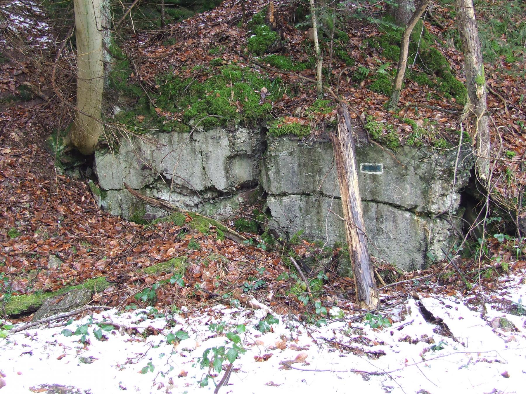 Ligne Maginot - TANNENBRUCK - POSTE GRM - (Poste GRM - Maison Forte) - Les maigres restes du poste GRM