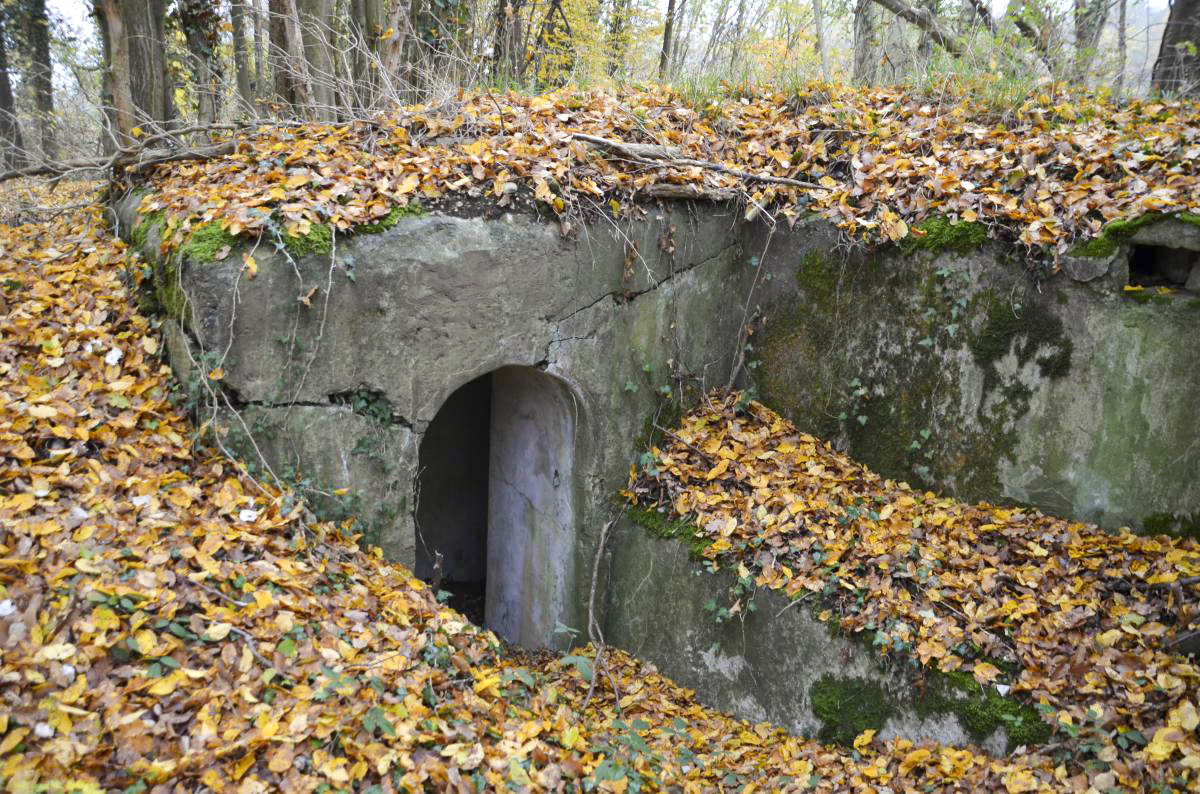 Ligne Maginot - OTTMARSHEIM SUD 1 - (Blockhaus pour arme infanterie) - Entrée 1