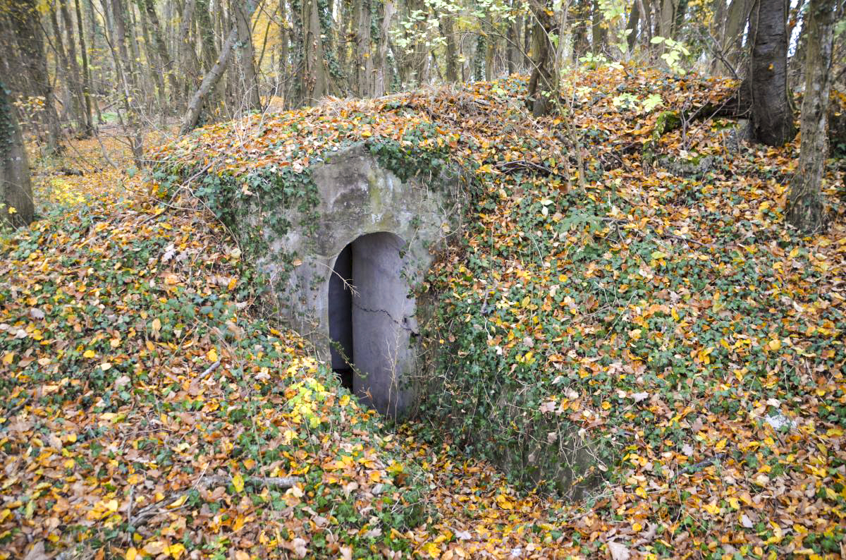 Ligne Maginot - OTTMARSHEIM SUD 1 - (Blockhaus pour arme infanterie) - Entrée 2