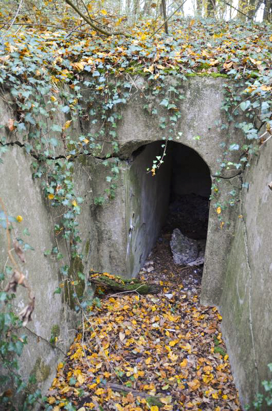 Ligne Maginot - OTTMARSHEIM SUD 2 - (Blockhaus pour arme infanterie) - Une des entrées
