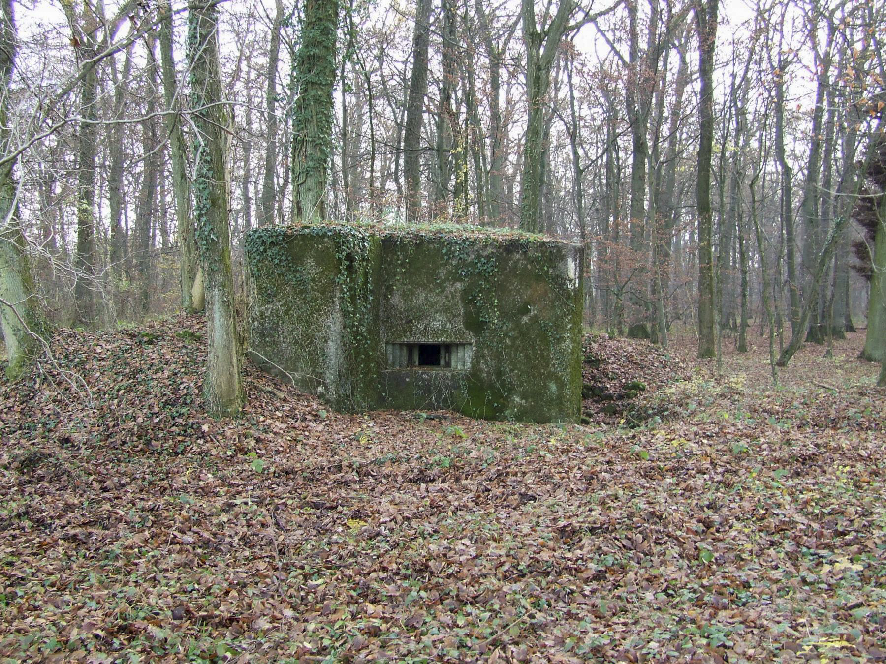 Ligne Maginot - STOCKEN 2 - (Blockhaus de type indeterminé) - Un blockhaus pour mitrailleuse