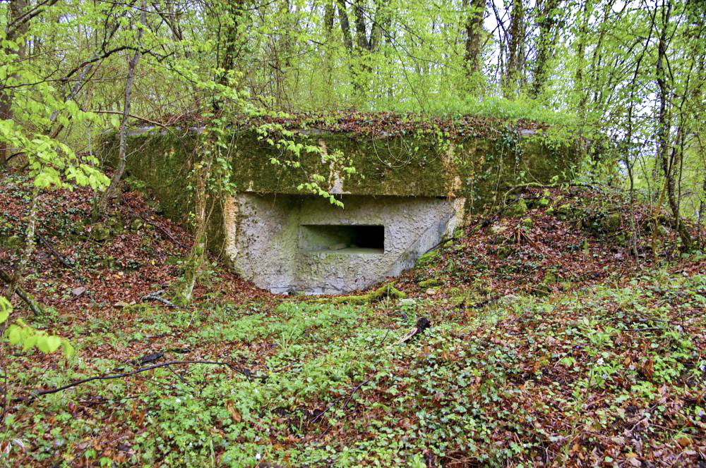 Ligne Maginot - PA-248-4 - Blockhaus avec deux créneaux de tir protégeant la route forestière vers le nord et vers le sud. L'entrée donne sur l'ouest